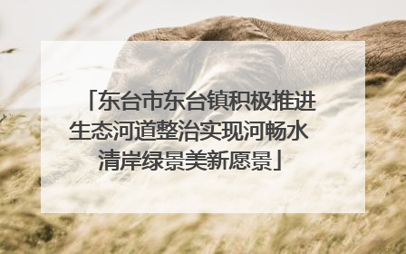 东台市东台镇积极推进生态河道整治实现河畅水清岸绿景美新愿景