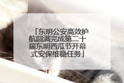 东明公安高效护航圆满完成第二十届东明西瓜节开幕式安保维稳任务