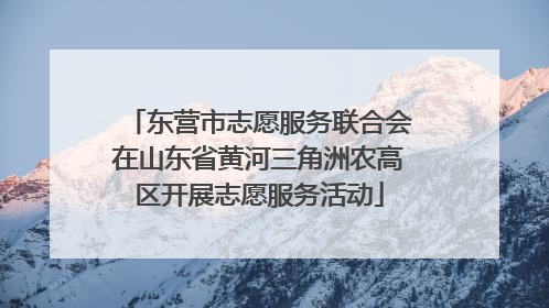 东营市志愿服务联合会在山东省黄河三角洲农高区开展志愿服务活动