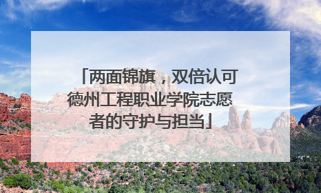 两面锦旗，双倍认可德州工程职业学院志愿者的守护与担当