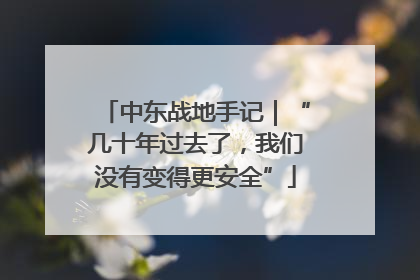 中东战地手记｜“几十年过去了，我们没有变得更安全”