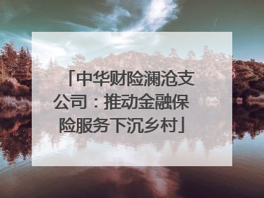 中华财险澜沧支公司：推动金融保险服务下沉乡村