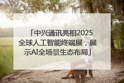中兴通讯亮相2025全球人工智能终端展，展示AI全场景生态布局