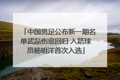 中国男足公布新一期名单武磊伤愈回归 入籍球员杨明洋首次入选