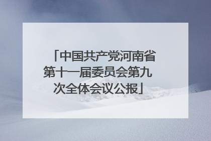 中国共产党河南省第十一届委员会第九次全体会议公报