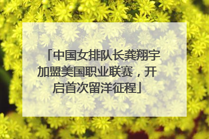 中国女排队长龚翔宇加盟美国职业联赛，开启首次留洋征程