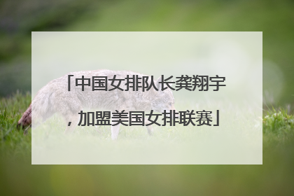中国女排队长龚翔宇，加盟美国女排联赛