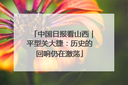 中国日报看山西｜平型关大捷：历史的回响仍在激荡