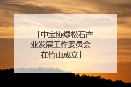 中宝协绿松石产业发展工作委员会在竹山成立