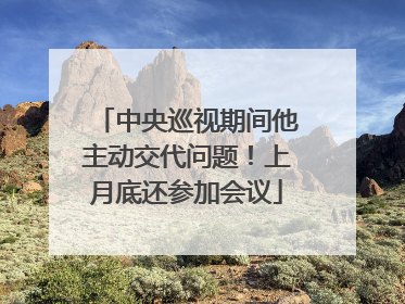 中央巡视期间他主动交代问题！上月底还参加会议