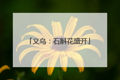 义乌：石斛花盛开