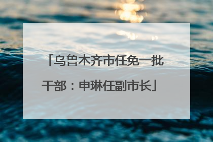 乌鲁木齐市任免一批干部：申琳任副市长