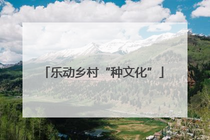乐动乡村“种文化”