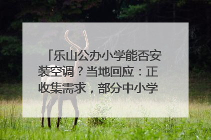 乐山公办小学能否安装空调？当地回应：正收集需求，部分中小学已启动安装｜云求助