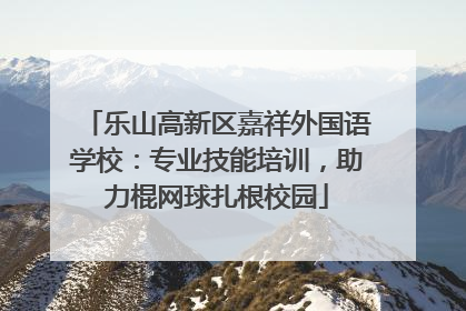 乐山高新区嘉祥外国语学校：专业技能培训，助力棍网球扎根校园