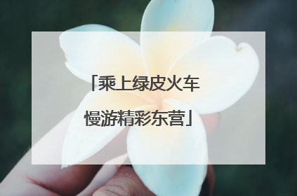 乘上绿皮火车 慢游精彩东营