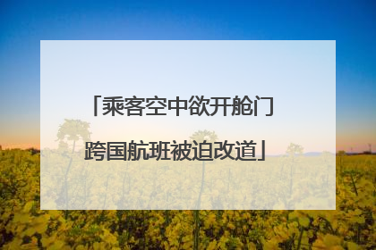 乘客空中欲开舱门 跨国航班被迫改道