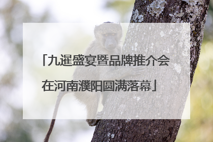 九暹盛宴暨品牌推介会在河南濮阳圆满落幕