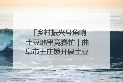 乡村振兴号角响 土豆地里竞赛忙｜曲阜市王庄镇开展土豆收获劳动竞赛