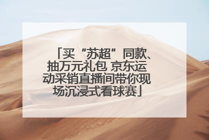 买“苏超”同款、抽万元礼包 京东运动采销直播间带你现场沉浸式看球赛