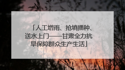 人工增雨、抢墒播种、送水上门——甘肃全力抗旱保障群众生产生活