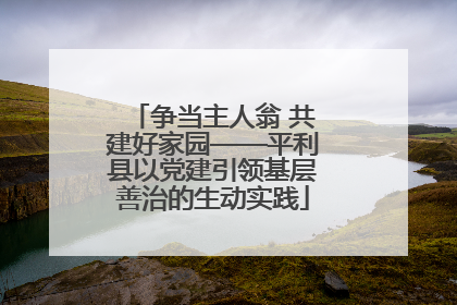 争当主人翁 共建好家园——平利县以党建引领基层善治的生动实践