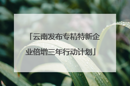 云南发布专精特新企业倍增三年行动计划