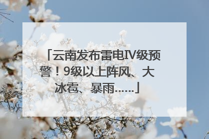 云南发布雷电Ⅳ级预警！9级以上阵风、大冰雹、暴雨……