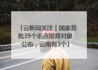 云新闻关注｜国家首批39个重点培育对象公布，云南有3个
