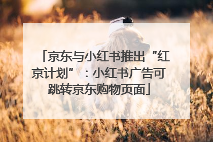 京东与小红书推出“红京计划”：小红书广告可跳转京东购物页面