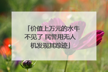 价值上万元的水牛不见了 民警用无人机发现其踪迹