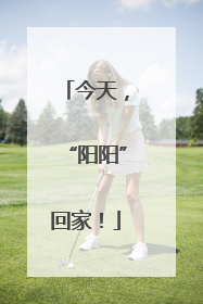 今天，“阳阳”回家！