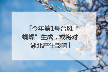 今年第1号台风“蝴蝶”生成，或将对湖北产生影响