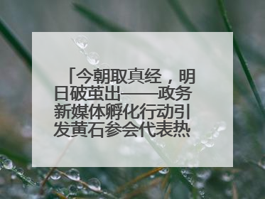 今朝取真经，明日破茧出——政务新媒体孵化行动引发黄石参会代表热烈反响