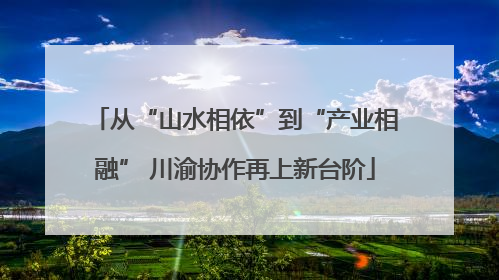 从“山水相依”到“产业相融” 川渝协作再上新台阶