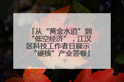 从“黄金水道”到“低空经济”，江汉区科技工作者日展示“硬核”产业答卷