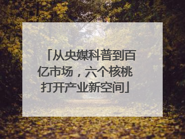 从央媒科普到百亿市场，六个核桃打开产业新空间