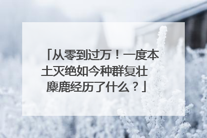 从零到过万！一度本土灭绝如今种群复壮 麋鹿经历了什么？