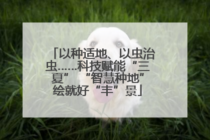 以种适地、以虫治虫……科技赋能“三夏” “智慧种地”绘就好“丰”景