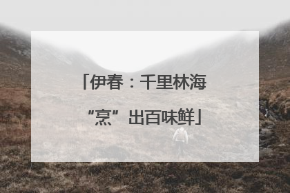 伊春：千里林海“烹”出百味鲜