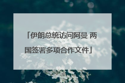 伊朗总统访问阿曼 两国签署多项合作文件