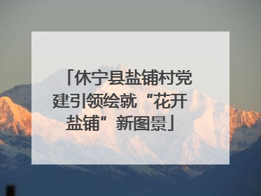 休宁县盐铺村党建引领绘就“花开盐铺”新图景