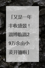 又是一年丰收盛景！淄博临淄29万余亩小麦开镰啦