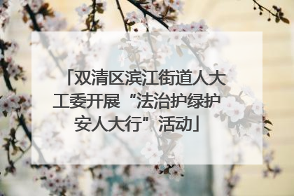 双清区滨江街道人大工委开展“法治护绿护安人大行”活动