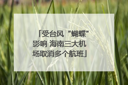 受台风“蝴蝶”影响 海南三大机场取消多个航班