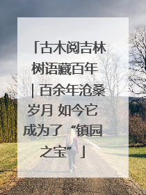 古木阅吉林 树语藏百年｜百余年沧桑岁月 如今它成为了“镇园之宝”