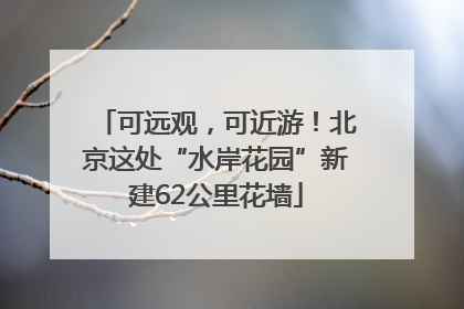 可远观，可近游！北京这处“水岸花园”新建62公里花墙