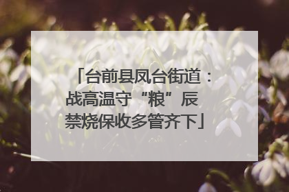 台前县凤台街道：战高温守“粮”辰 禁烧保收多管齐下