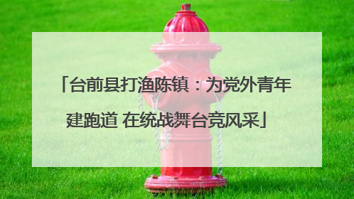 台前县打渔陈镇：为党外青年建跑道 在统战舞台竞风采