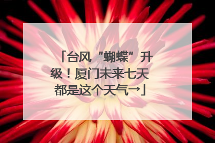 台风“蝴蝶”升级！厦门未来七天都是这个天气→